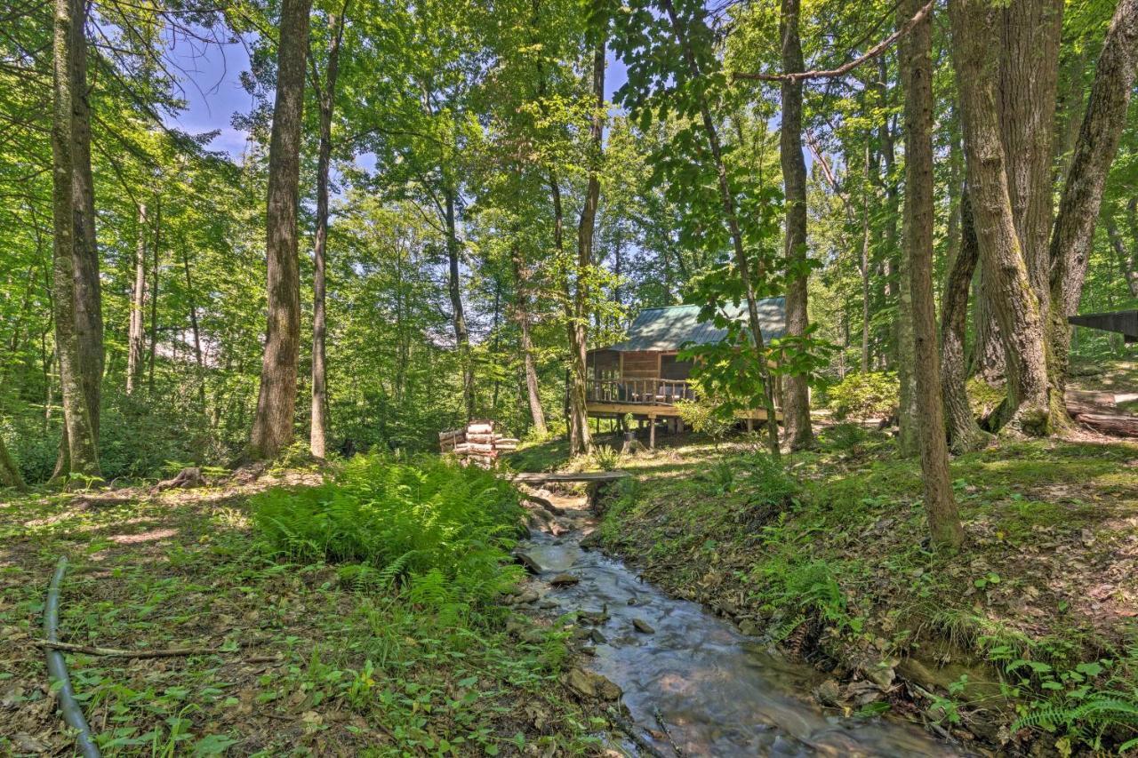 Creekside Cabin With Deck In Pisgah Forest! Barnardsville Exterior photo