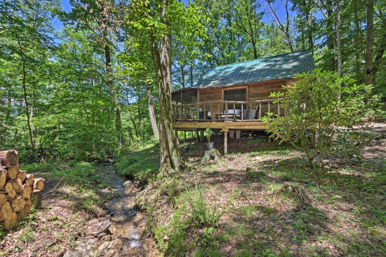 Creekside Cabin With Deck In Pisgah Forest! Barnardsville Exterior photo