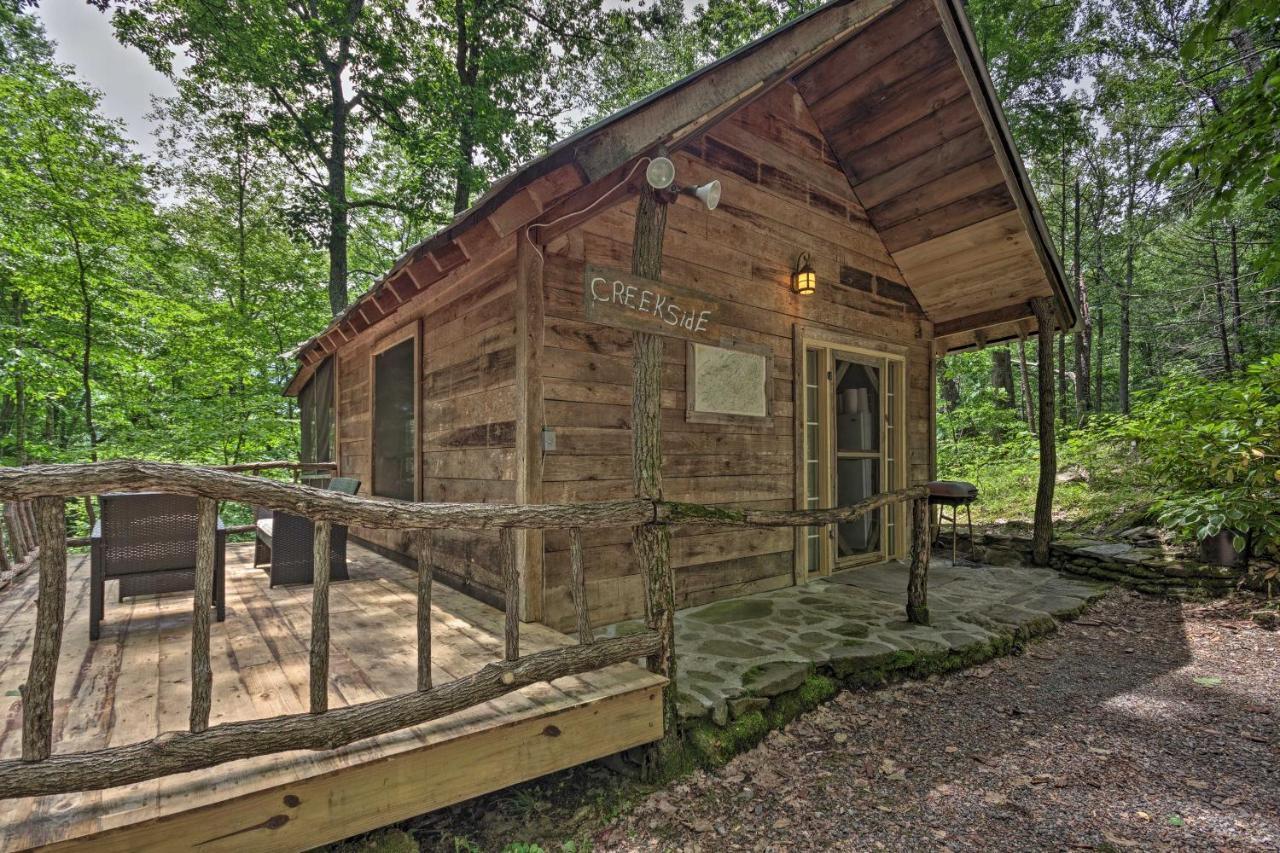 Creekside Cabin With Deck In Pisgah Forest! Barnardsville Exterior photo